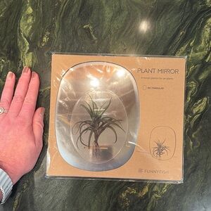 Rectangle Mirror Planter For Air Plants